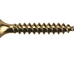/content/userfiles/images/Products/Screws/needle point plasterboard screw loose.jpg